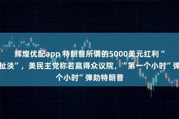 辉煌优配app 特朗普所谓的5000美元红利“根本就是扯淡”，美民主党称若赢得众议院，“第一个小时”弹劾特朗普
